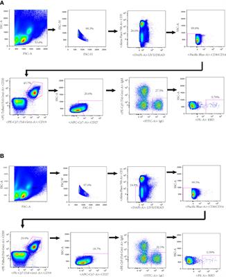 Frontiers Characterization Of Rbd Specific Cross Neutralizing